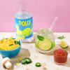 Nealkoholický koktail POLLY 4262374190015 500 ml