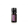 DoTerra Lavender Esenciálny olej levanduľový 15ml (expedícia do 24 hodín)
