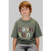 Detské bavlnené tričko Calvin Klein Jeans zelená farba, s potlačou, IB0IB02578 IB0IB02578.128.170.9BYA 170