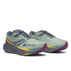 pánská obuv saucony S20966-254 TRIUMPH 22 GTX sage/carbon S20966-254 ve velikosti 40