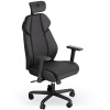 Endorfy Meta BK EY8A005