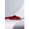 Dog leash Candy