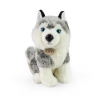 Plyšový pes husky 30 cm - plyšové hračky