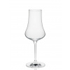 RONA BAR poháre na likér a destilát Fruit Spirit Glass 260 ml 6 ks