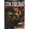 Stín zabijáka - Matthew Scott Hansen