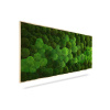 Machový obraz DUO Natural Green, 160x60cm, drevený čierny rám