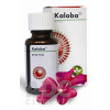 Kaloba kvapky 50 ml