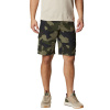 Columbia Silver Ridge Printed Cargo Short M 1587033397 (121017) Black 34