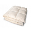 Perina, paplón - Prikrývka na púch 200 x 220 cm (Rok -round semi -round prikrývka 200x220 za celý rok)
