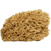 Cose della Natura Prírodná hubka Honeycomb - malá, 5-6 g