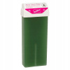 Depileve vosk na depiláciu 100 ml Aloe Vera roll-on