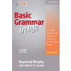 Basic Grammar in Use Student's Book with Answers and CD-ROM