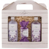 Bohemia Gifts Lavender La Provence sprchový gél 100 ml + šampón na vlasy 100 ml + ručne vyrábané mydlo 30 g, kozmetická sada
