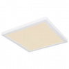 LED stropné svietidlo Globo 12380-24w
