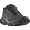 Salomon Sense Ride 5 GTX M L47147200 - black magnet black 43 1/3