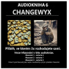 Changewyx – verze hlasování 212