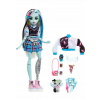 Mattel Monster High Frankie Stein Doll With Blue And Black Streaked Hair