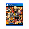 Fatal Fury: City of the Wolves (Special Edition)