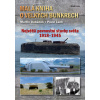 Malá kniha o velkých bunkrech - Největší pevnostní stavby světa 1918—1945 - Martin Dubánek , Lach Pavel,