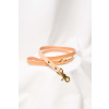 Dog leash Maremma Nude