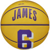 Lopta Wilson NBA Player Icon Stephen Curry Mini Ball WZ4007401XB
