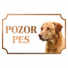 Retríver zo zálivu Chesapeake - Kovová tabuľka POZOR PES