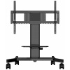 iiyama -Single column electric floor lift on wheel (MD CAR1021-B1)