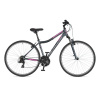 Author BICYKEL AUTHOR COMPACT ASL 2023-24 MATNÁ ŠEDÁ