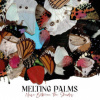 Melting Palms - Noise Between The Shades [CD]