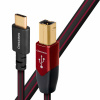 Audioquest Cinnamon USB B na USB C - 0,75 m
