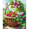 Diamantový obraz Košík s malinami