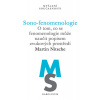 Sono-fenomenologie - Martin Nitsche