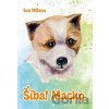 Šibal Macko - Eva Wilson