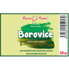 Borovice výhonky - bylinné kapky (tinktura) 50 ml - doplněk stravy