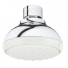 GROHE 26050001 TEMPESTA 100 Hlavová sprcha 1 prúd, chróm GRO 26050001