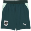 Puma Kids Austria Away Shorts World Cup 2026™ Green/Mint 9-10 rokov