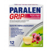 Paralen Grip horúci nápoj echinacea a šípky plo.por.500 mg/10 mg 12 x 500 mg/10 mg