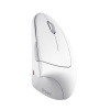Trust Verto Ergonomic Wireless Mouse 25132