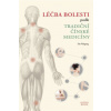 Léčba bolesti podle tradiční čínské medicíny - Liu Naigang