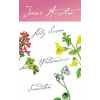 Lady Susan, Watsonovci, Sanditon - Austenová Jane
