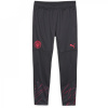 Puma Manchester City Training Bottoms 2023 2024 Adults Navy Blue L