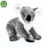 RAP Plyšová koala 25 cm - plyšové hračky