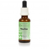 Bachove esencie - Túžba 30 ml