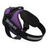 Julius-K9 IDC Powerharness Dark Purple - postroj najvyššej kvality, postroj pre psa, tmavofialový - 1