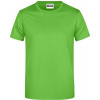 DAIBER JN 790 / Pánske tričko z ťažkej bavlny - lime green 5XL