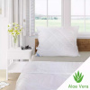 Kvalitex SET CELOROČNÁ ALOE VERA prikrývka + vankúš 70x90cm