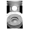 Piest NÜRAL (FEDERAL-MOGUL) 87-117907-20