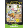 E-kniha Půlnoční jezdec - Miloslav Švandrlík, Petr Urban (ilustrátor)