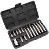 Sada bitov 15-dielna TORX, XL-TOOLS