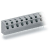 WAGO 254-552 pružinová svorka 1.50 mm² Pólov 2 sivá 280 ks; 254-552